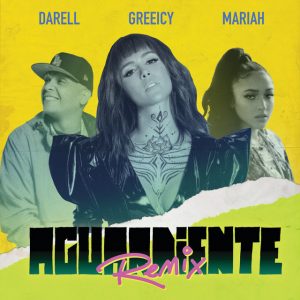 Aguardiente (Remix)
