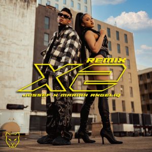 X2 (Remix)